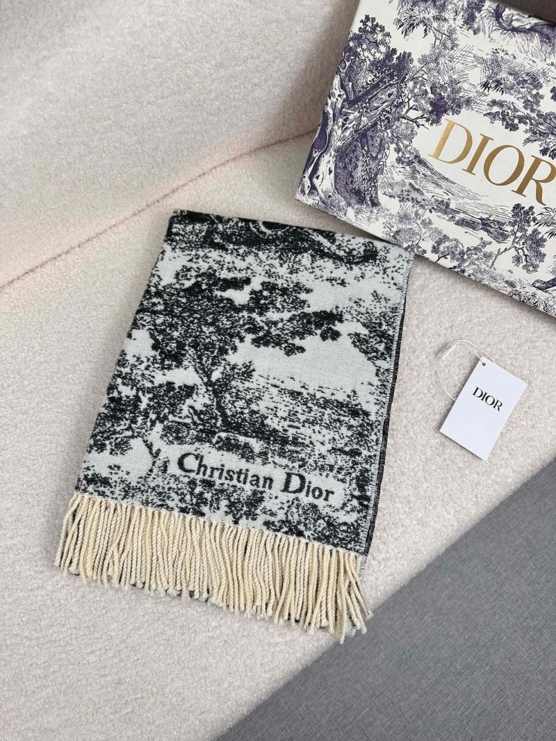 Christian Dior Scarf